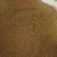 بذر یونجه