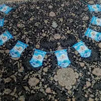 تم تولد السا