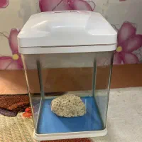 اکواریوم