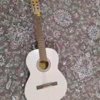 فروش گیتارas4برندمسترگیتار