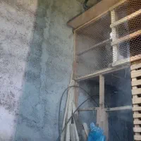 لنگه در شیشه سکوریت