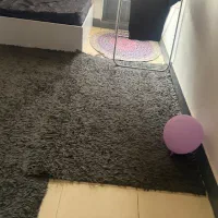 فرش وقالیچه وپادرشگی فروشی