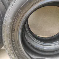 لاستیک کوییک و ساینا
