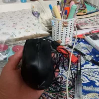 موس سالم نو