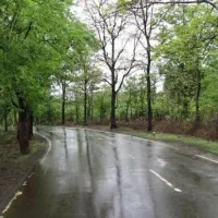 باغ میوه
