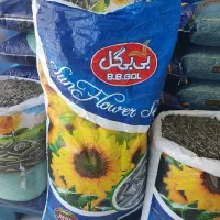 فروش عمده تخمه دور سفید چینی برند بی بی گل