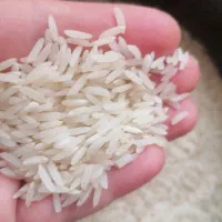 برنج