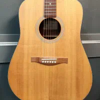 آکوستیک برند EASTMAN