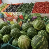 واگذاری کامل مغازه میوه فروشی با تمام وسایل خوب