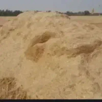 کاه گندم دست بر