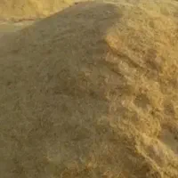 کاه گندم