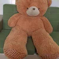 خرس مهربون