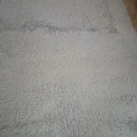 فرش ۶ متری پرزبلند بدون هیچ ایرادی سالم|فرش|بابل, |دیوار