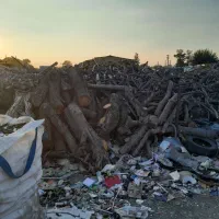 برش درخت (خرید چوب)