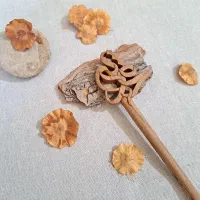 استیک مو، کانزاشی، حلقه
