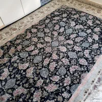 قرش تک 9متری1500شانه