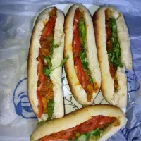 ساندویچ خونگی درسا