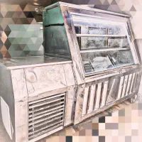 فروش یک دستگاه یخچال زمینی ۳ متری ویتریتی