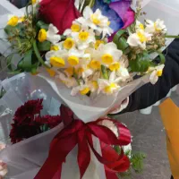 دیزاین دسته گل و باکس گل در قشم