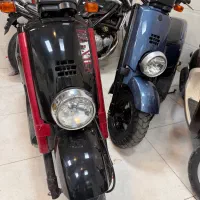 انواع پاکشتی ژاپنی