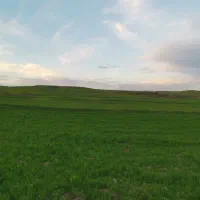 زمین-1700-متر