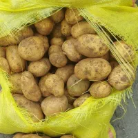 سیب زمینی جلی سورت،کارلیا ۴۰۲ بذری