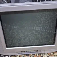 تلوزیون