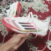 سالنی F50 فاینال