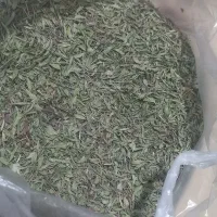 آویشن