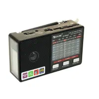 رادیو اسپیکر شارژی برقی بلوتوثی گولون چراغ‌قوه‌دار