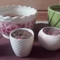 فروش گلدان و زیر گلدانی