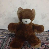 خرس بزرگ بزرگ