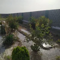 باغ1000متری-باتبرعه