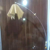 آباژور ایستاده