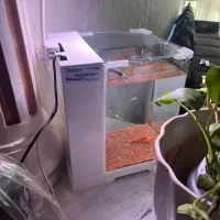 اکواریوم شرکتی اصلی