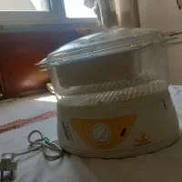 بخار پز
