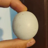 lonosdalitاصلی