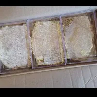 عسل سرابی|عمدهفروشی|قم, صفائیه|دیوار