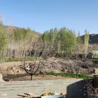 فروش زمین ۴۱۳ متری در رینه
