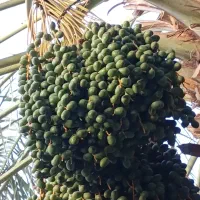 فروش خانه و آپارتمان