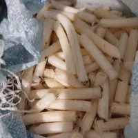 شمع سوخته مساجد