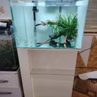 شیشه آکواریوم apa و میز مخصوص