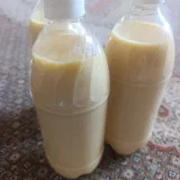 فله یاهمون آغوز گاو