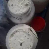 پنیرگوسفندی