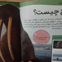 کتاب|کتاب و مجله آموزشی|لردگان, |دیوار