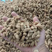 توت خشک رحمانی