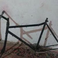 تنه 26