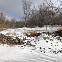 زمین باغ ویلایی