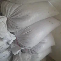 تخم شبدر