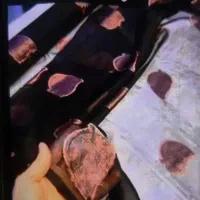یک پارچه حریروخوشکل دوخته نشده به فروش میرسه